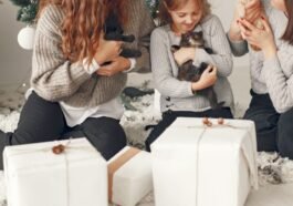 Purr-fect Parenting How to Increase the Number of Kitten Children